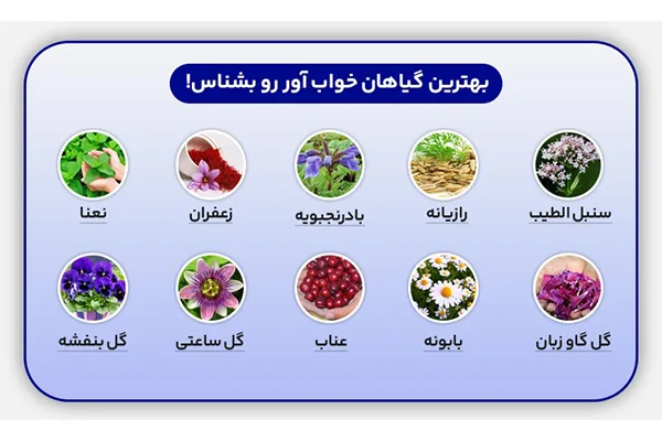درمان سریع بی خوابی با بهترین روشهای (دارویی،خانگی+ خوارکی) 3 درمان سریع بی خوابی