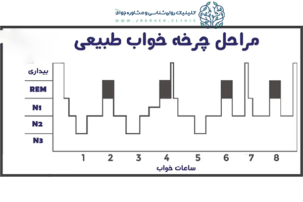 مراحل خواب