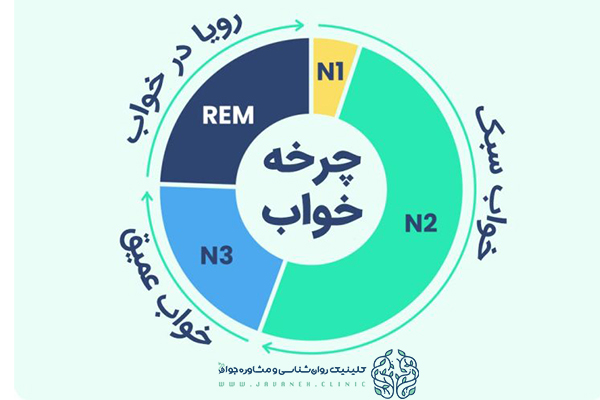 مراحل خواب